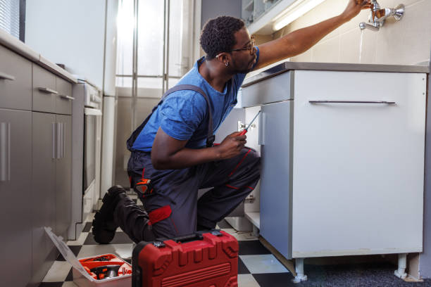 Best Leak Detection Services  in Leadwood, MO